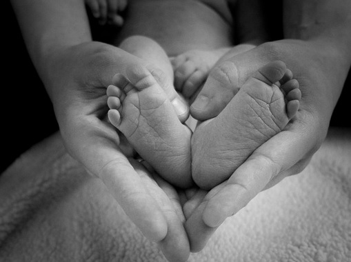 Maternità di colf e badanti Maternità di colf e badanti